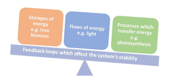 problem solving activity climate change and feedback loops answers