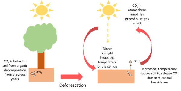 what-are-climate-feedbacks-action-renewables