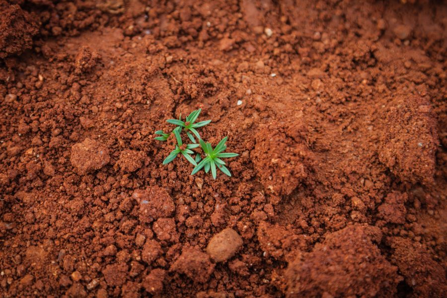 What does climate change have to do with soil health?